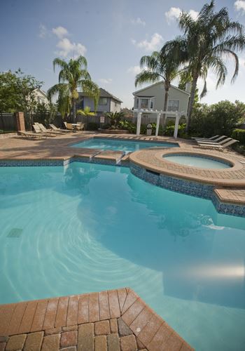 another view of the pool and hot tub with palm trees in the background